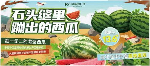 58热门吃瓜免费,揭秘网络热议背后的真相与趣味