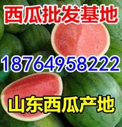 2022今日瓜价,今日瓜价行情一览