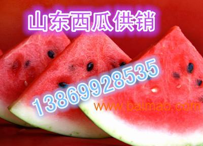 2022今日瓜价,今日瓜价行情一览