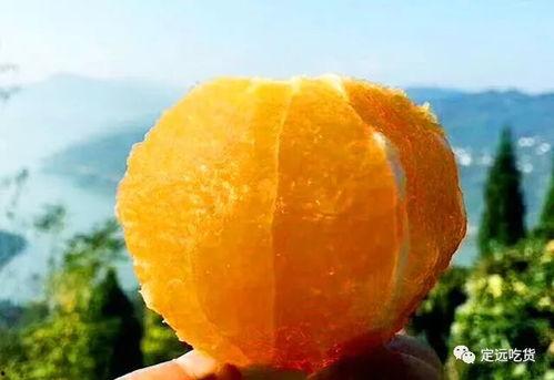 方瓜今日价,市场动态一览