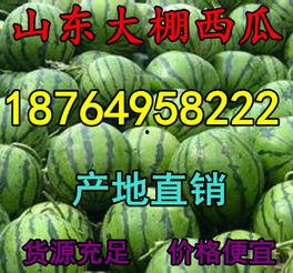 今日包瓜价格,市场行情一览