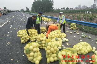 彩虹圈吃瓜群众爆料,揭秘娱乐圈最新热点事件