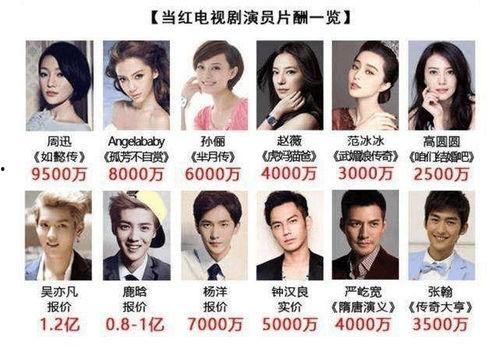 明星网红演员区别,三界交融的娱乐生态概览