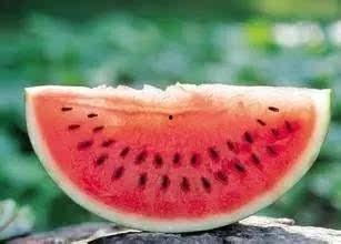 瓜的最新热门消息,揭秘最新热门瓜料背后的真相