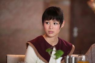 媒体演员明星网红,明星、网红与媒体演员的璀璨舞台