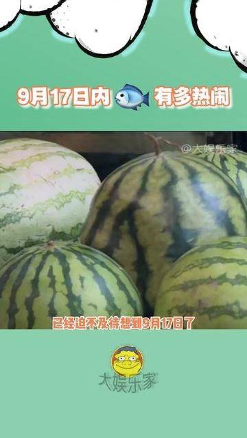 今日内娱瓜,今日瓜料盘点，明星幕后故事大揭秘