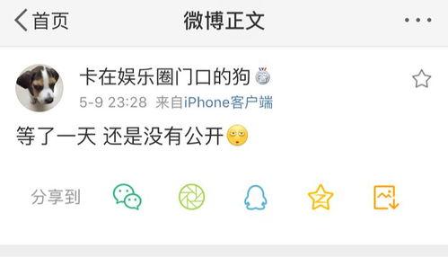 爆料吃瓜道歉文案图片,从爆料到反思，一场网络舆论的洗礼