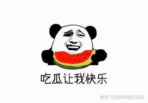 爆料吃瓜道歉文案图片,从爆料到反思，一场网络舆论的洗礼
