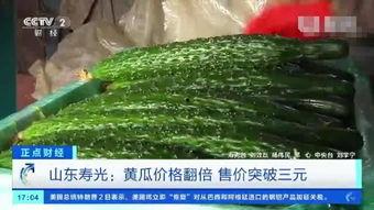今日寿光瓜价格,今日价格波动解析”