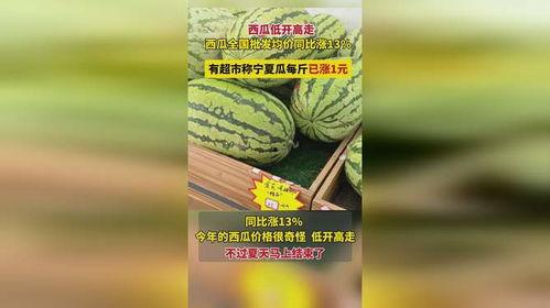 宁夏瓜今日价格,新鲜瓜果价格一览”