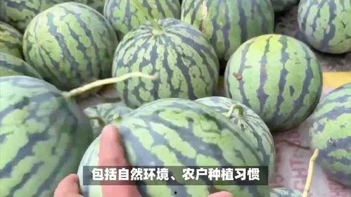 日本瓜今日价格,市场行情一览
