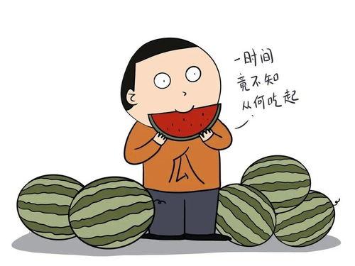 吃瓜爆料问题怎么解决,轻松应对网络谣言