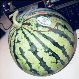 网红热门吃瓜,揭秘娱乐圈幕后真相