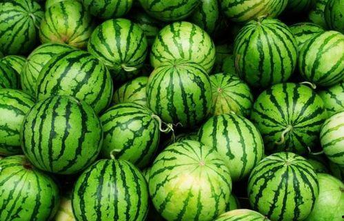 今日必吃瓜,揭秘娱乐圈最新热点事件