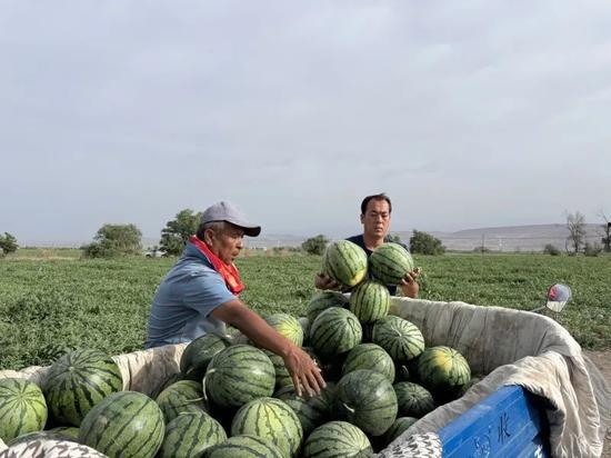 国产黑料一区在线吃瓜,揭秘网络吃瓜背后的真相与争议