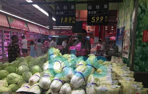 荷兰瓜今日行情,价格波动与市场动态一览