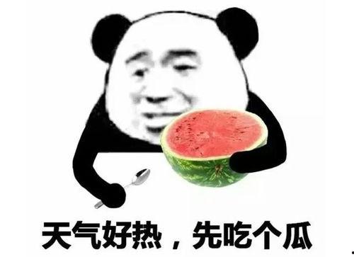 今日热瓜反差,今日热瓜反差大揭秘
