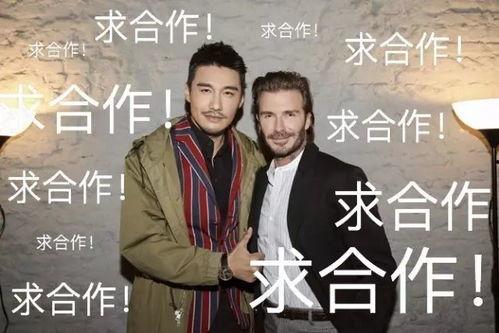 娱乐圈生存指南by吃瓜群众,吃瓜群众揭秘明星幕后生存法则
