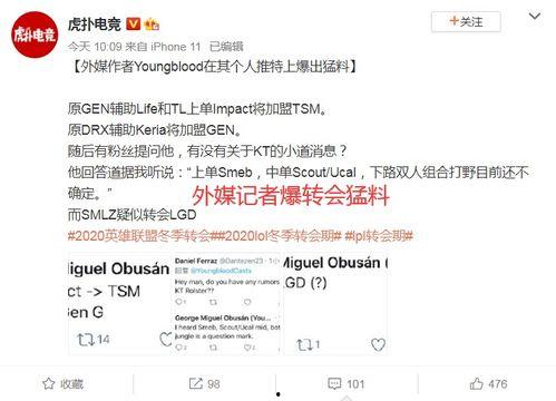 今日外网大瓜,真相与舆论的碰撞