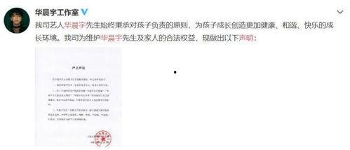 娱乐圈吃瓜的观后感,揭秘明星背后的真相与争议