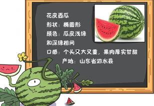 吃瓜爆料小说全文阅读,揭秘小说背后的真实故事