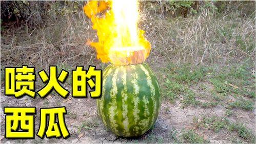 那些热门的大瓜,揭秘明星背后的惊人真相