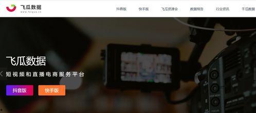 飞瓜热门视频素材,热门素材背后的爆款秘诀