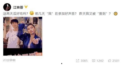 中国好声音吃瓜爆料,揭秘选手幕后故事与精彩瞬间