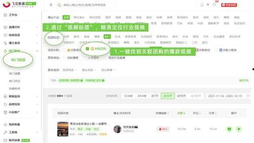 飞瓜数据热门视频,热门视频背后的爆款秘诀