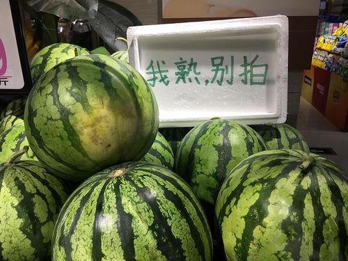 新疆今日的瓜