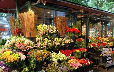 热门大瓜 花店老板