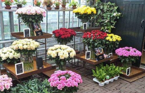 热门大瓜 花店老板