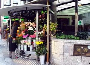 热门大瓜 花店老板