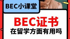 吃瓜爆料英语单词,Unveiling the Buzz: A Gossipy Overview of the 'Eating Watermelon' English Vocabulary Leak