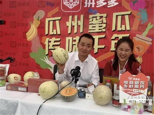 今日瓜州县新闻,聚焦乡村振兴，共绘美好家园新画卷