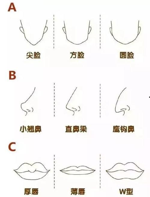 明星网红怎么画,网红明星画像绘制技巧解析