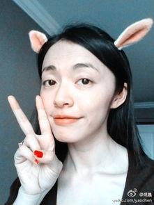 明星网红今日视频,潮流趋势与生活点滴