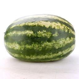 缅甸今日瓜价,今日市场行情一览”