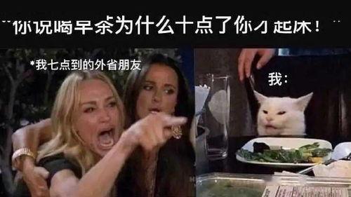 玉女无瓜热门梗,揭秘网络热梗背后的故事与影响