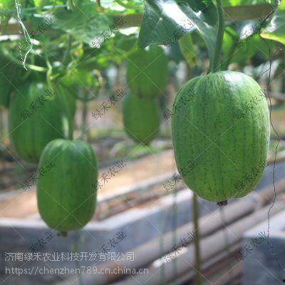 Apple今日吃瓜,揭秘幕后故事与最新动态