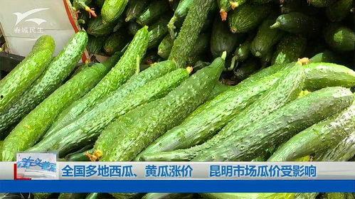 今日全国瓜价,多地瓜农收益受影响”