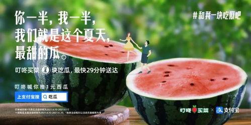 dy热门吃瓜文案,揭秘娱乐圈幕后真相
