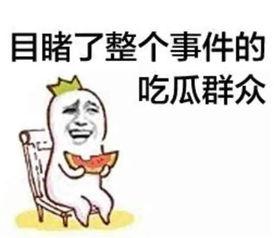 吃瓜系统娱乐圈沙雕动画,吃瓜系统带你笑翻银幕