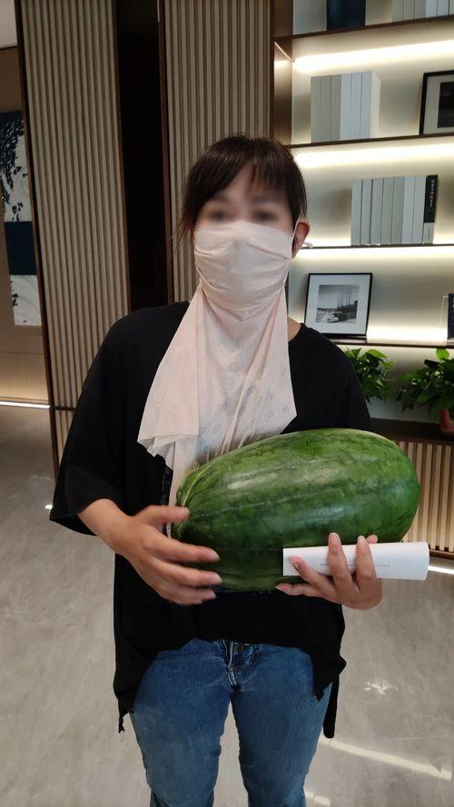 今日大瓜视频,揭秘娱乐圈最新热点事件