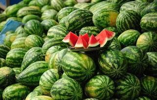 乐亭今日瓜价,新鲜瓜果价格一览