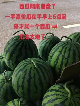 今日吃瓜主页,揭秘娱乐圈最新热点事件
