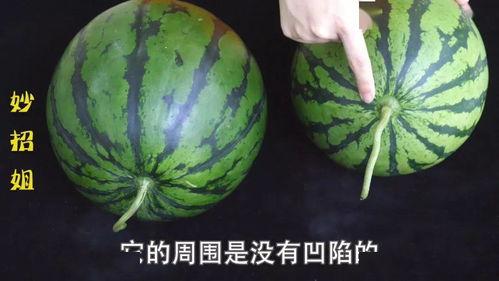 上热门瓜甜不甜,甜不甜，一试便知！