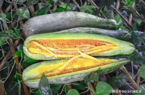 最新网红吃瓜爆料,娱乐圈最新惊天大瓜，揭秘明星背后惊人真相！