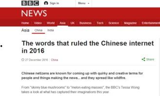 网络热门瓜的意思,真相与谣言的交织