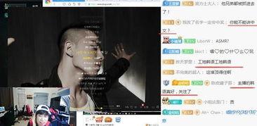 明星网红的韩文,时尚、娱乐与影响力的交织